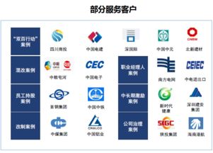 雙百行動咨詢服務產品手冊 賦能國企改革，驅動價值提升